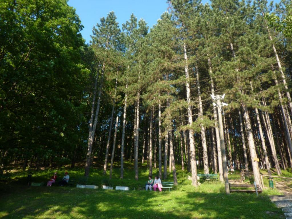 Guesthouse Edelnice Gornja Trepča 외부 사진