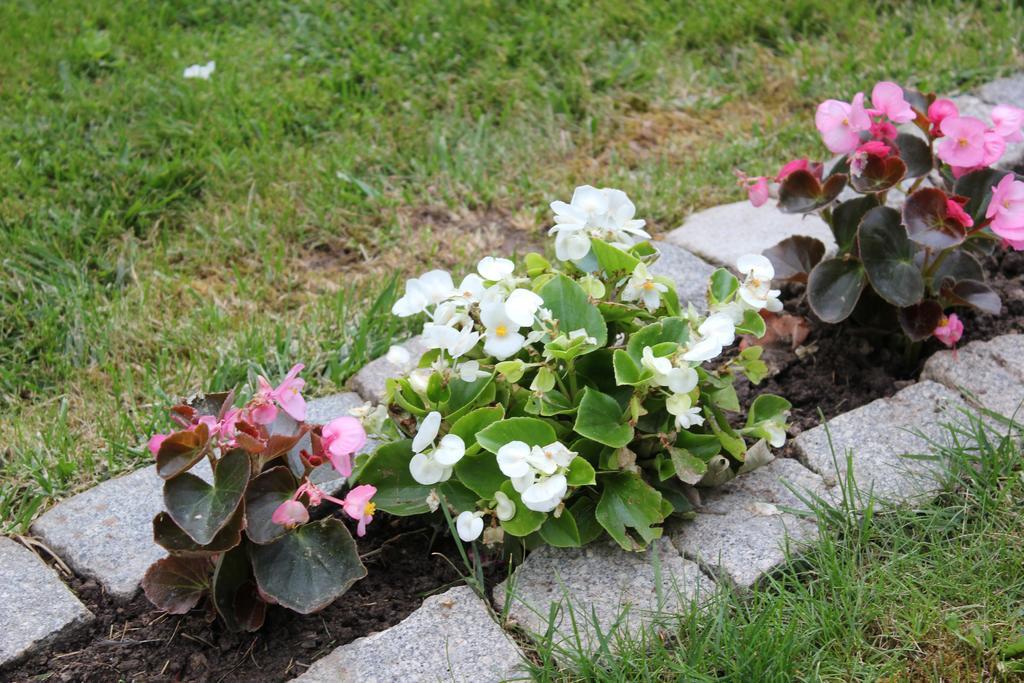 Guesthouse Edelnice Gornja Trepča 외부 사진