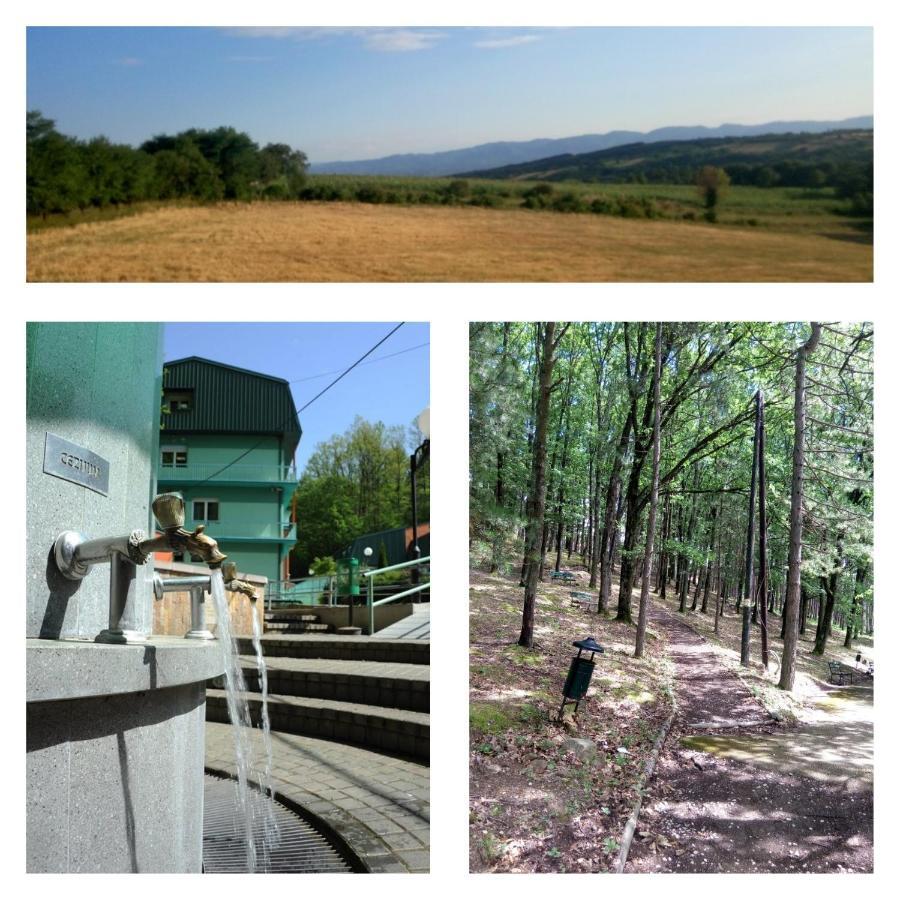 Guesthouse Edelnice Gornja Trepča 객실 사진